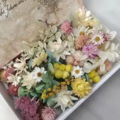 花材アソート♡b