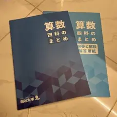 四科のまとめ算数　四谷大塚