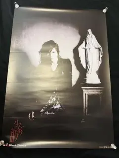 2026年最新】acid black cherry ポスターの人気アイテム - メルカリ