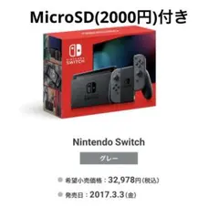 Nintendo Switch 本体＋microSD128GB
