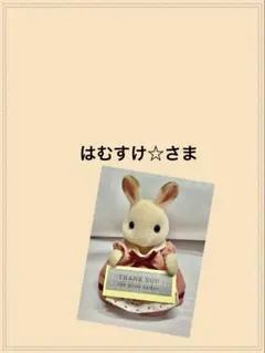 専用 はむすけ☆さま