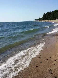 2025年最新】リモコン ジャンクの人気アイテム - メルカリ