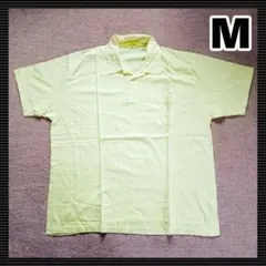 Item thumbnail for item b0df7212-262b-4fcc-bf65-8d3101f27c5e