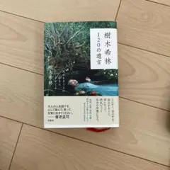 Item thumbnail for item ec2797c0-5412-476e-a823-57b0afd73a00