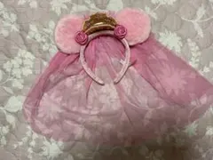 ディズニーリゾート　カチューシャ  プリンセス