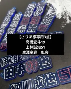 【さりあ様専用3点】中日ドラゴンズ 推し名前＆背番号キーホルダー⚾