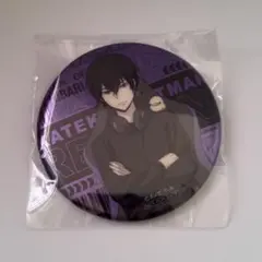 ゲーム配信者風　雲雀恭弥　アニメイト　特典　缶バッジ　REBORN