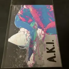ストリートファイター プリンセスカフェ ブロマイド A.K.I アキ