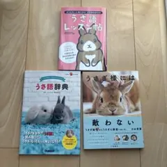 ちいさなかがくのとも かがくプレイらんど キンダーブックしぜん