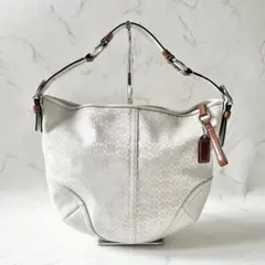 COACH コーチ アクセサリーポーチ ワンショルダーバッグ シグネチャー