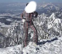 2026年最新】perfect moment スキーの人気アイテム - メルカリ