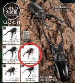 Item thumbnail for item 08c37ac0-0e4c-4233-b85c-44a72fa0826d