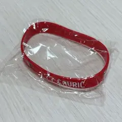鹿島アントラーズ ラバーバンド チャヴリッチ選手