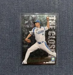 カルビープロ野球チップスカード 西武 グラマン 2008通販限定クローザー