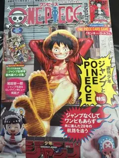 ワンピースマガジン　20号　本のみ　1冊　カードなし　未読
