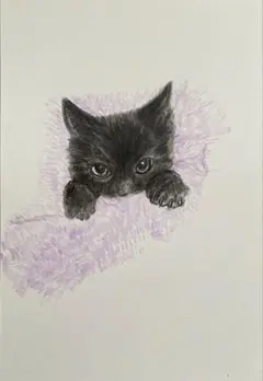 猫のイラスト　黒猫　原画　ポストカード　色鉛筆画　アート　絵　まだ起きませぬ。