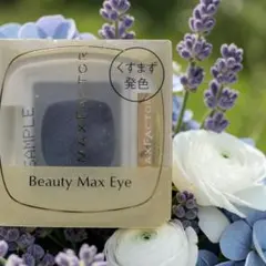 MAX FACTOR ビューティーマックスアイ NV-1 アイシャドウのサムネイル