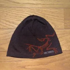 2025年最新】アークテリクス ビーニー ブラウンの人気アイテム