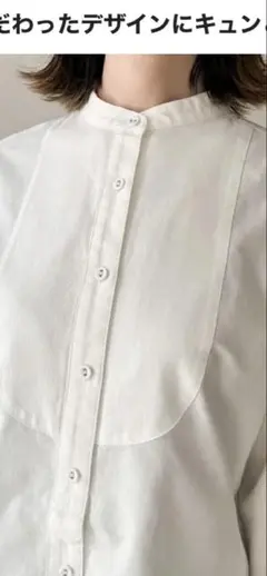 ユニクロ✖️INES オックスフォード　スタンドカラーシャツ　L