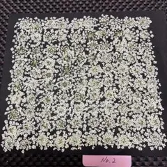 10月15日〜10月17日まで休み様 リクエスト 2点 まとめ商品