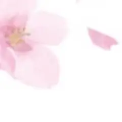 Hiyocoさま