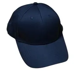 Item thumbnail for item 6c50027c-e509-454d-83f5-bad7b3de31da