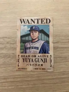 日本ハムファイターズ ONE PIECE 手配書 ステッカー 郡司裕也