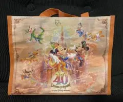 TDL 東京ディズニーランド 40周年記念 お土産 ミニバッグ