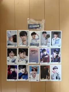 SEVENTEEN Joshua ジョシュアトレカ15枚