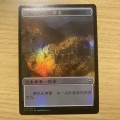 MTG 強欲 foil 中国語 MTG 強欲 foil 中国語 MTG 強欲 foil 中国語 MTG 強欲 foil 中国