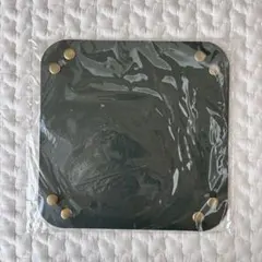 Item thumbnail for item 68813261-7b1f-45c9-8dc3-9920d6b71396