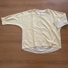 Item thumbnail for item 3c3a5ede-1602-4c74-ad30-fae94cacbd8c