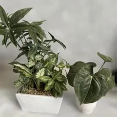 かえる様専用　中型　人工観葉植物 ホワイトポット