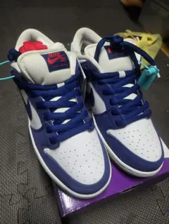 2026年最新】nike sb dunk low 