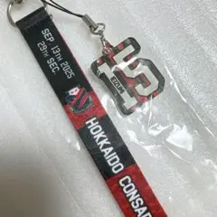 【新品未使用】北海道コンサドーレ札幌 2025ボンフィン（AWAY藤枝戦） 新品未使用】北海道コンサドーレ札幌 2025ボンフィン（AWAY藤枝