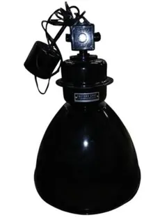 インターフォルム ペンダントライト Normanton ノルマントン LT-18