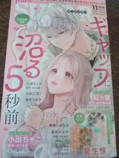 ミニシュガー2025年11月号最新号