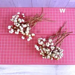 Item thumbnail for item 65968fed-f81b-4bcb-8b0a-86459d9771de