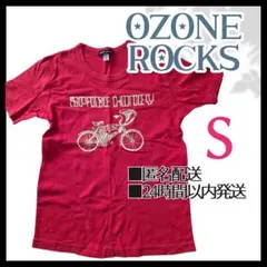 OZONE ROCKS アートブック コンプリートセット オゾンロックス OZONE ROCKSの新品フリマアイテム一覧