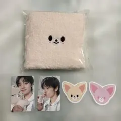 Stray Kids スキズ　ペンミ　4/4 4/5入場特典トレカ アイエン