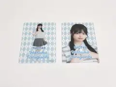 NGT48 シアターくじ 9月 クリアカード 谷口陽香