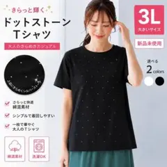 【新品未使用】ニッセン Tシャツ　ブラック1枚　サイズ3Ｌのサムネイル
