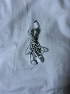 ホワイト 有線イヤホン Lightning接続