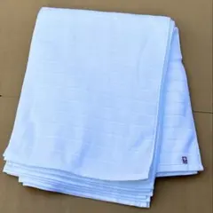 Item thumbnail for item 0ee4a9df-9a84-4f66-a9be-539c80397dc2