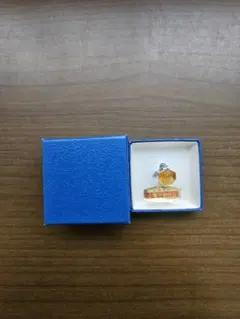 チリチリ様　本鼈甲× acrylic ネクタイピン 本鼈甲 ネクタイピン - メルカリ