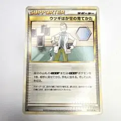 ポケモンカード ウツギはかせの育てかた サポーターのサムネイル