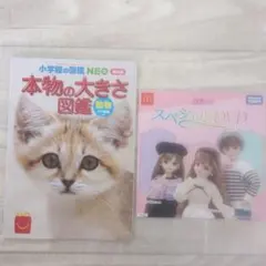 ハッピーセット付録　図鑑　DVD