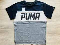 ☆PUMA☆プーマ☆Tシャツ☆150㌢☆新品☆