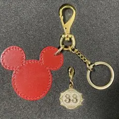 HANNAH MONTANA ハンナモンタナ アクリルキーホルダー キーチェーン