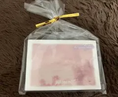 jill leen アイシャドウパレット HT02 12色